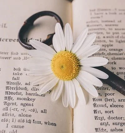 Pre-intermediate English Grammar Test 6