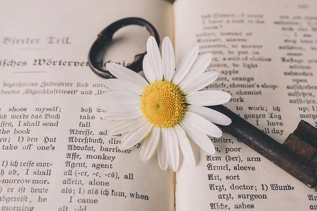Pre-intermediate English Grammar Test 6