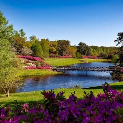 Nature and Environment