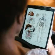 Human Body Systems Quiz – Name All 11 Organ Systems