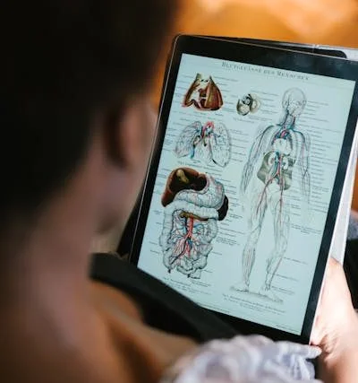 Human Body Systems Quiz – Name All 11 Organ Systems