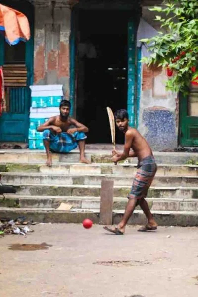 Cricket Bloodlines: The Ultimate Family Challenge