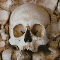 Human Body Bones Quiz